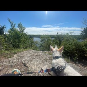 Meet your Posher, Mistralle